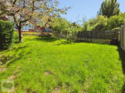 Picture 21